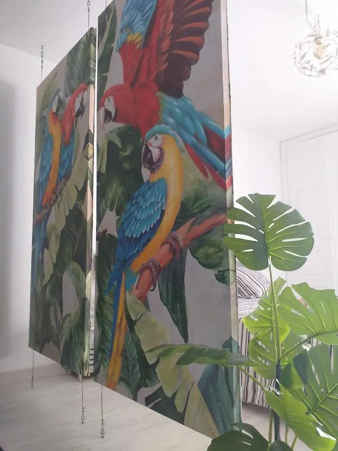 Tropical Loft Apartment Corralejo