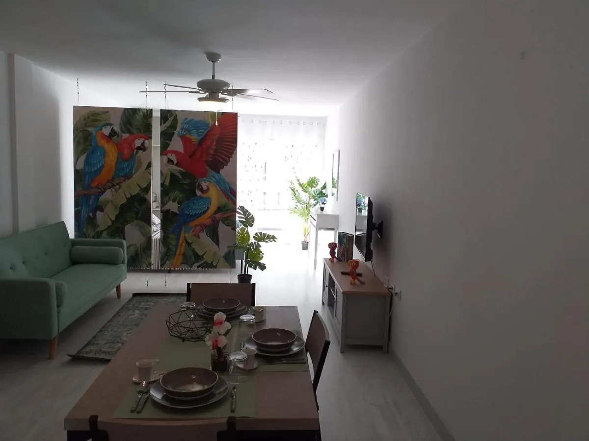 Tropical Loft Apartment Corralejo