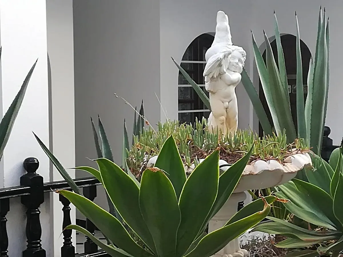 Tropical Loft Apartment Corralejo 0*,  Spain