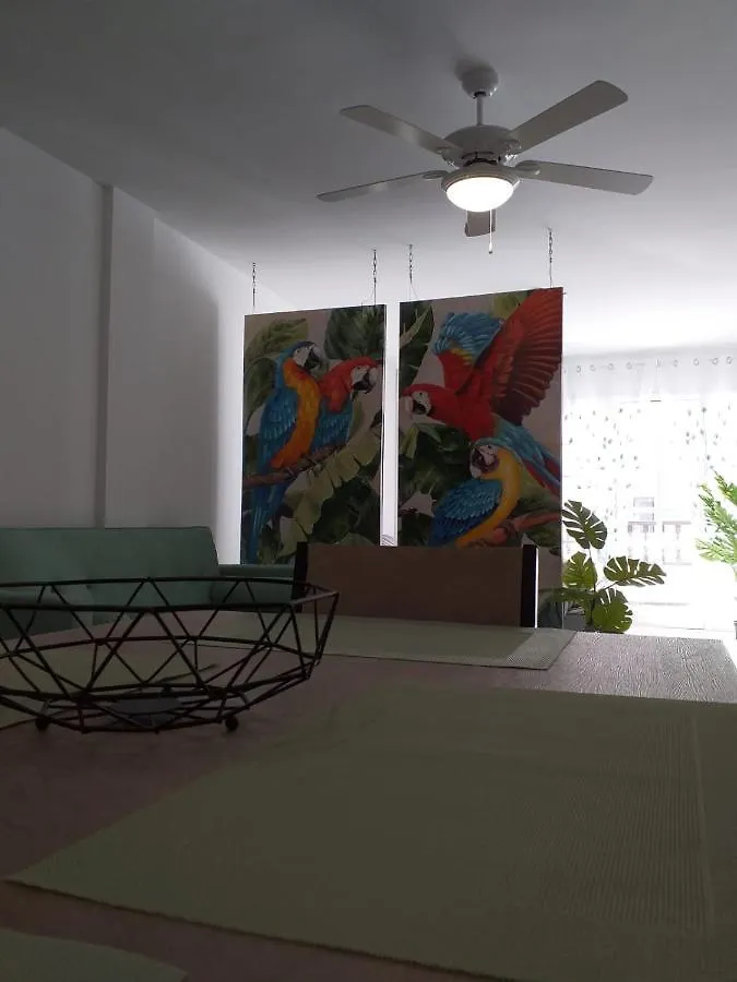 Tropical Loft Apartment Corralejo 0*,  Spain
